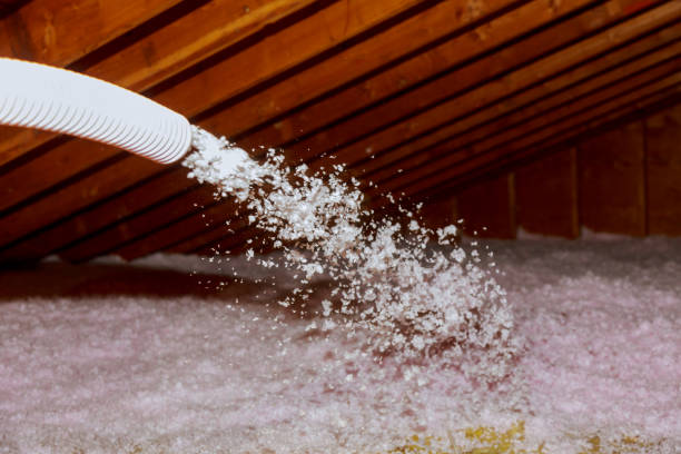 Best Local Insulation Services  in Caon City, CO