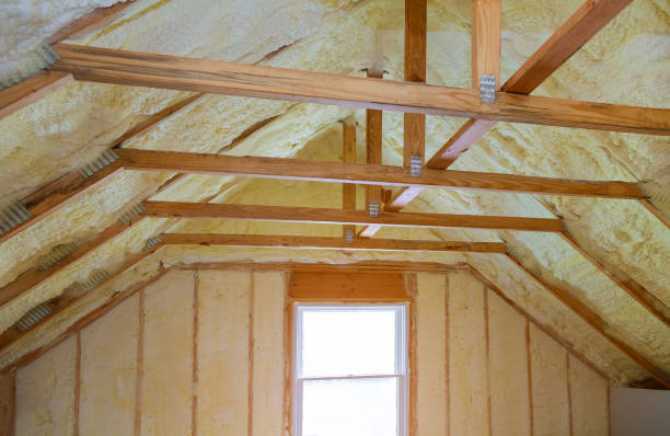 Best Insulation Contractors for Homes  in Caon City, CO