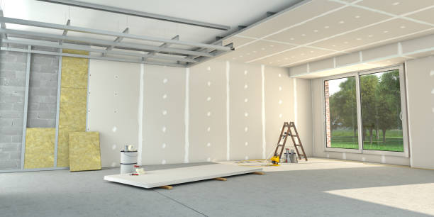Best Insulation Removal Services  in Caon City, CO