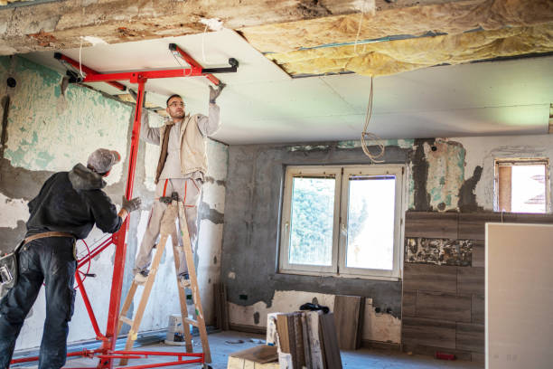 Best Insulation Replacement Services  in Caon City, CO
